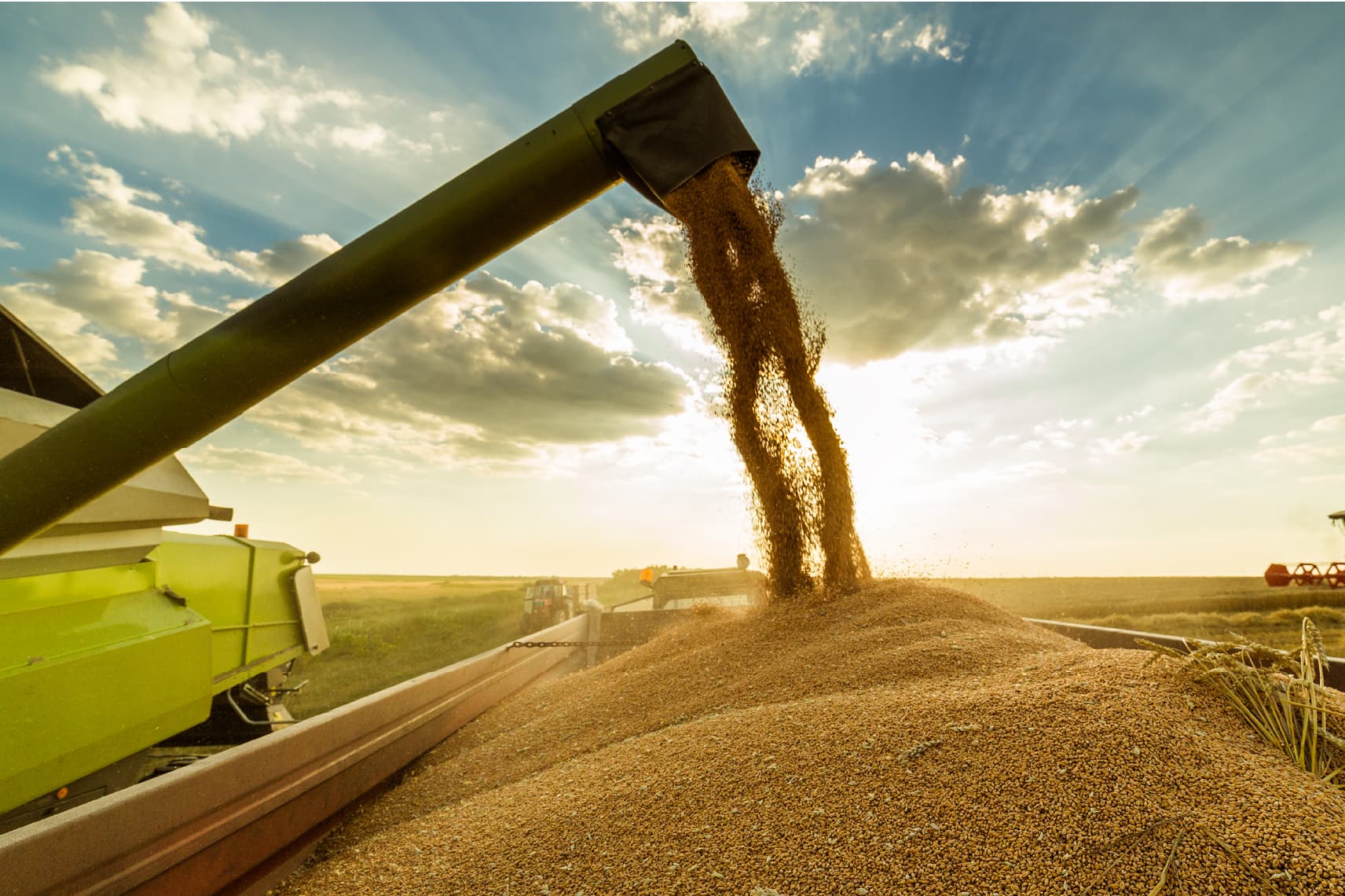 Billington Group - We have two food manufacturing businesses; both uphold our group values with their employees and customers